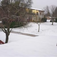 snow1