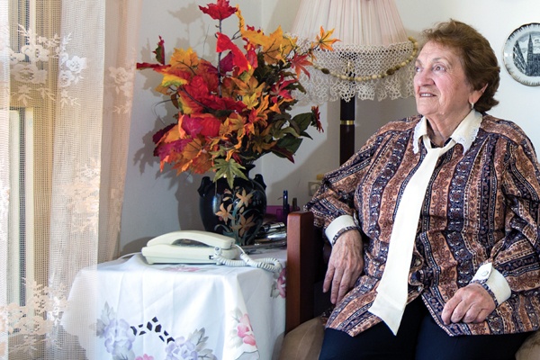 Amigour: Shelters Under Fire